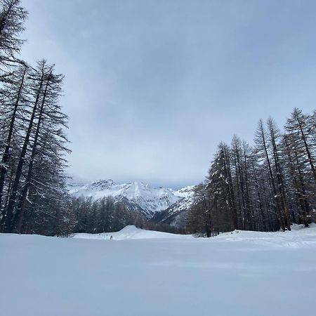 Les Granges D'Arvieux - Queyras - Appart 3Ch./6P. Bagian luar foto