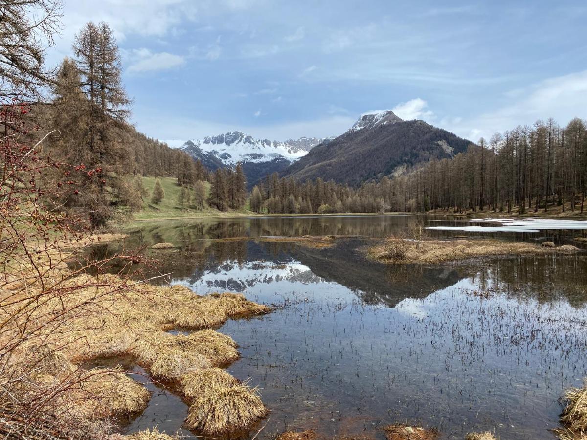 Les Granges D'Arvieux - Queyras - Appart 3Ch./6P. Bagian luar foto