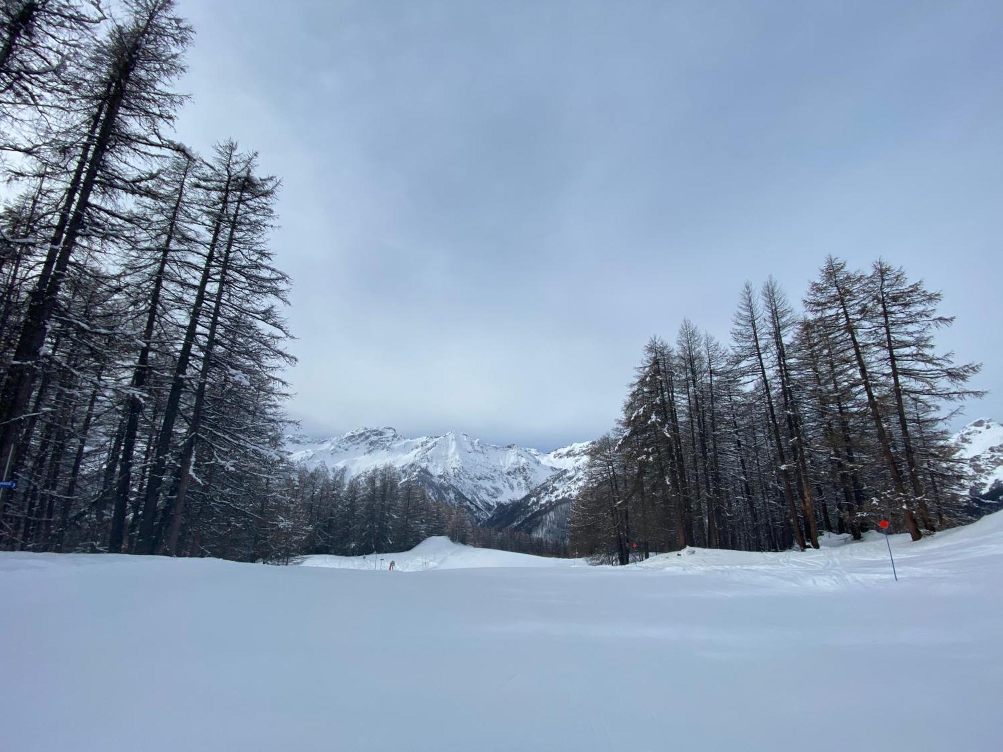 Les Granges D'Arvieux - Queyras - Appart 3Ch./6P. Bagian luar foto